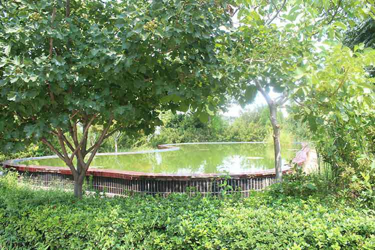 三亚殷伟制药科技有限公司机械厂区环境优美